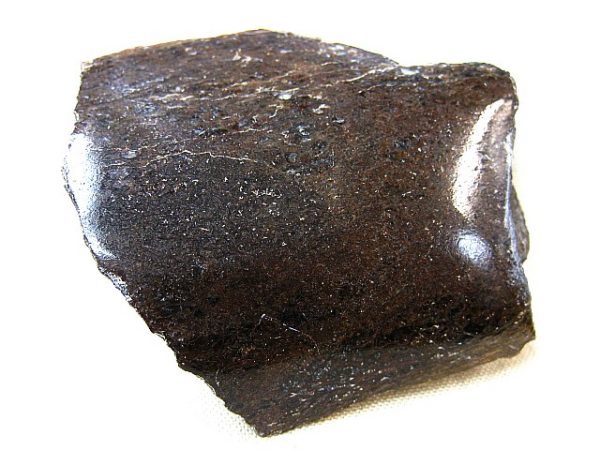 Polished Jurassic Dinosaur Bone #11