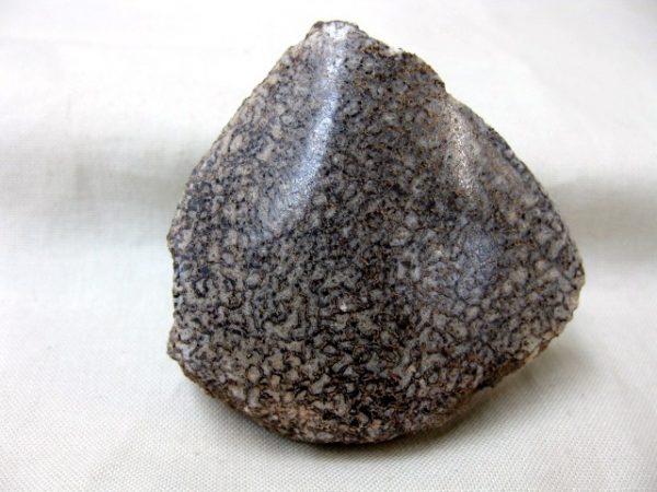 Polished Jurassic Dinosaur Bone #13