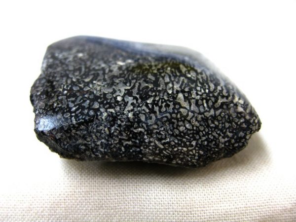 Polished Jurassic Dinosaur Bone #15 - Image 2