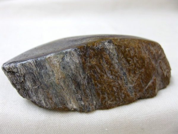 Polished Jurassic Dinosaur Bone #9 - Image 2