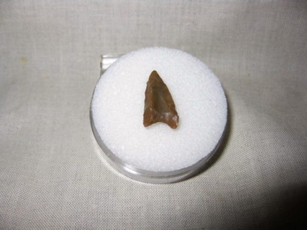 Mesolithic Curved Base Point #5