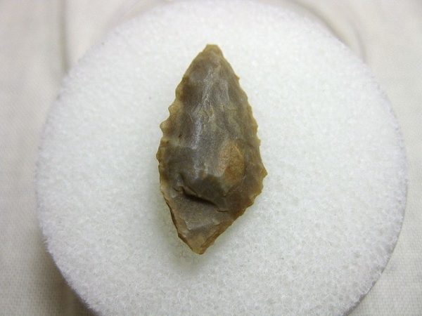 Mesolithic Serrated Arrowhead #9