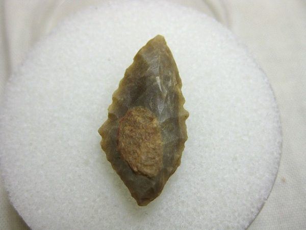 Mesolithic Serrated Arrowhead #9 - Image 2