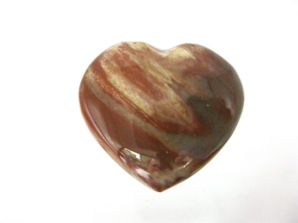 Genuine Petrified Wood Metaphysical Polished Mineral Heart from Madagascar for Sale. #11a