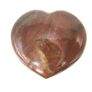 Genuine Petrified Wood Metaphysical Polished Mineral Heart from Madagascar for Sale. #4