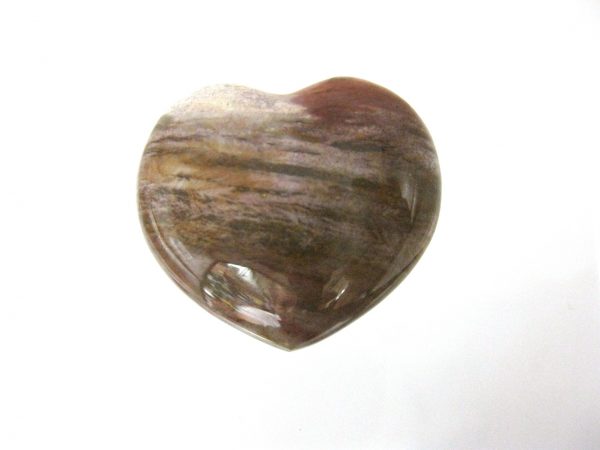 Genuine Petrified Wood Metaphysical Polished Mineral Heart from Madagascar for Sale. #5