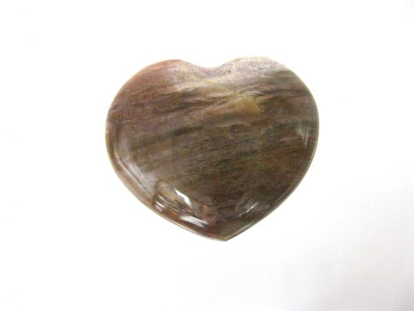 Genuine Petrified Wood Metaphysical Polished Mineral Heart from Madagascar for Sale. #5a