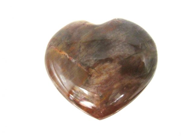 Genuine Petrified Wood Metaphysical Polished Mineral Heart from Madagascar for Sale. #6