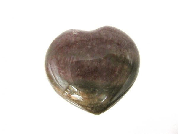 Genuine Petrified Wood Metaphysical Polished Mineral Heart from Madagascar for Sale. #8