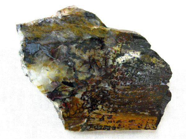 Minnesota Precambrian Stromatolite #21