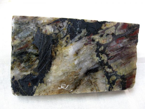 Minnesota Precambrian Stromatolite #25