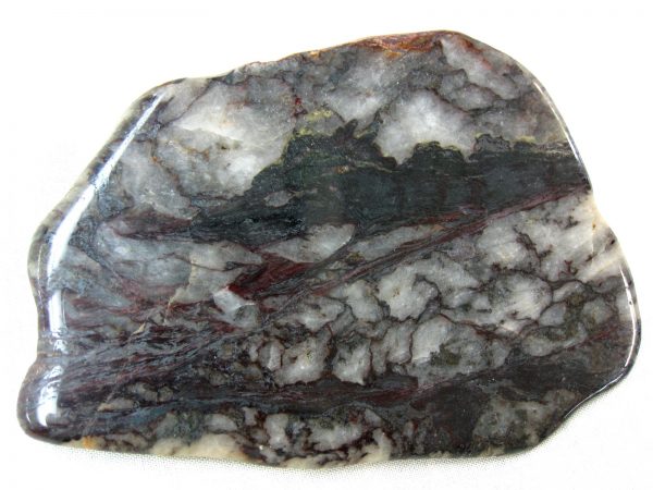 Minnesota Precambrian Stromatolite #27