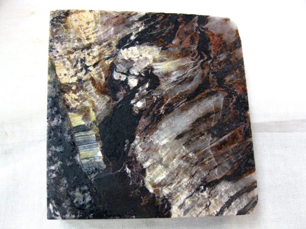 Minnesota Precambrian Stromatolite #28