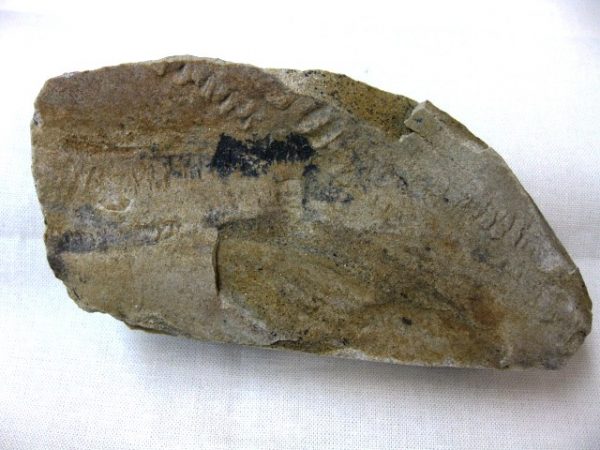 Genuine Mississippian Age Trilobite Trackway #7a For Sale From Indiana