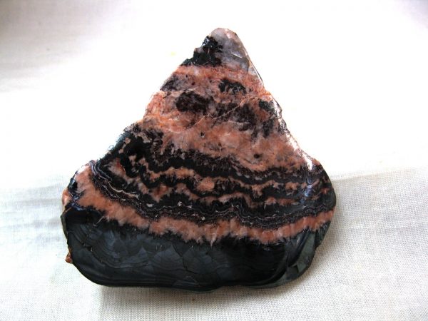 Morocco Stromatolite #2