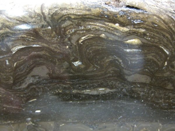 New York Stromatolite #3 - Image 2