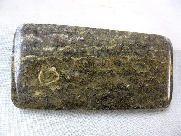 Peru Stromatolite #21