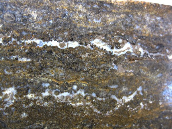 Peru Stromatolite #22 - Image 2