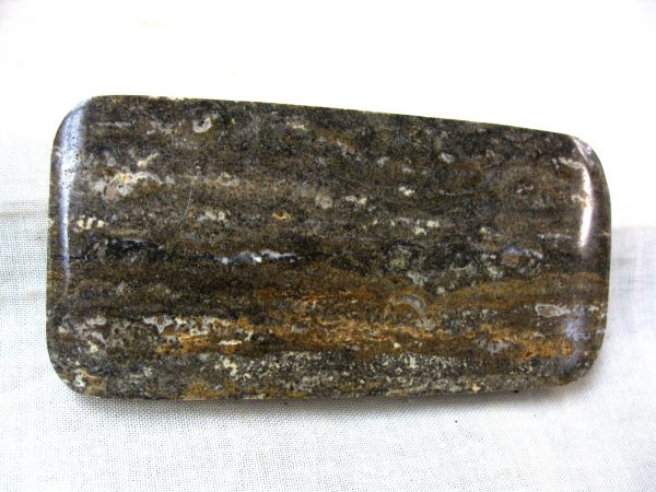 Peru Stromatolite #24