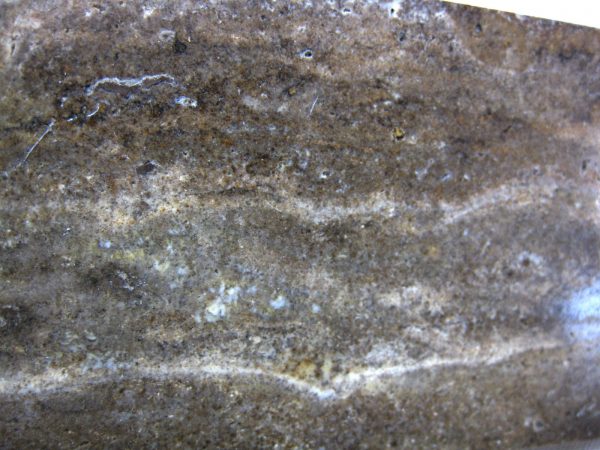 Peru Stromatolite #25 - Image 2