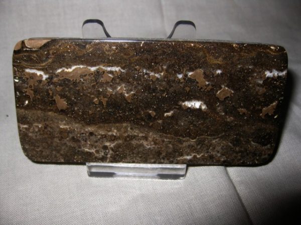 Peru Stromatolite #2