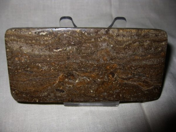 Peru Stromatolite #7