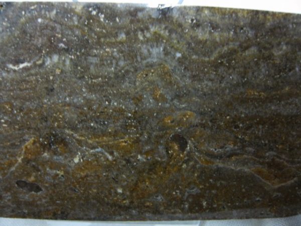 Peru Stromatolite #7 - Image 2