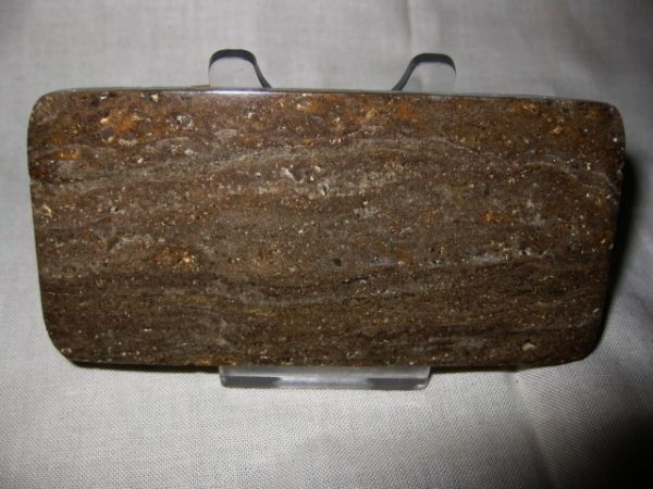 Peru Stromatolite #8