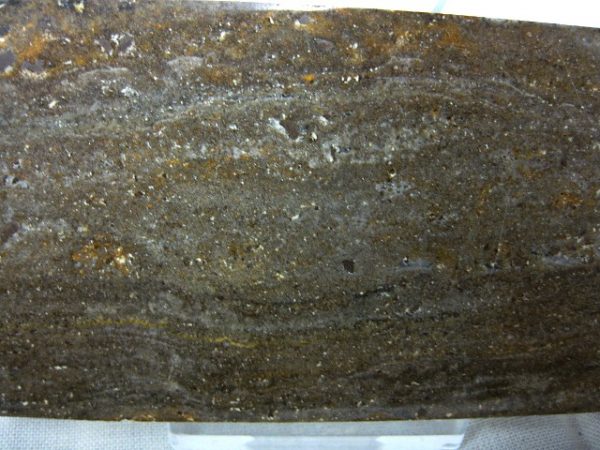 Peru Stromatolite #8 - Image 2