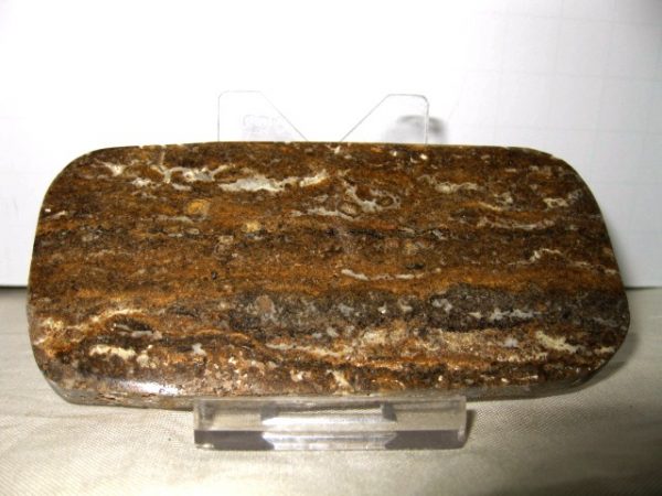 Peru Stromatolite #10