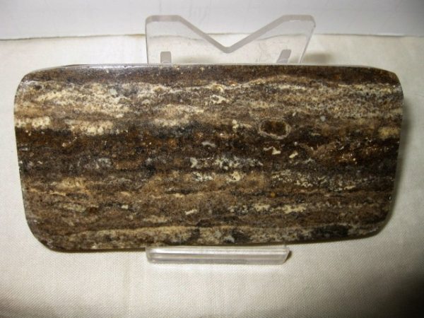 Peru Stromatolite #12