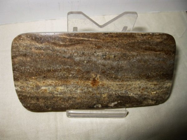 Peru Stromatolite #16