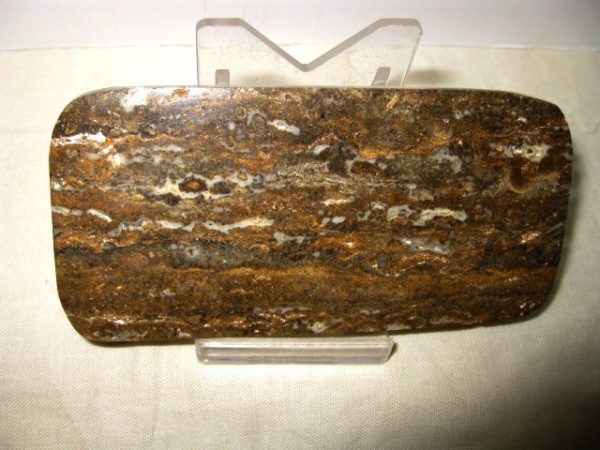 Peru Stromatolite #18