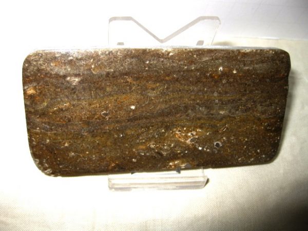 Peru Stromatolite #19