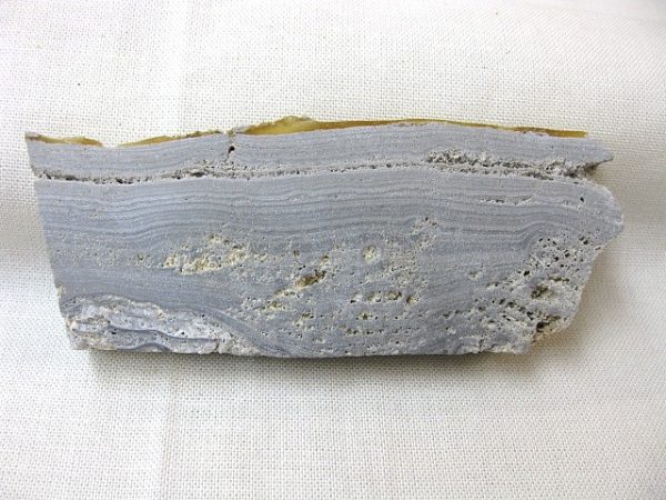 Australia Pleistocene Stromatolite #3 - Image 2