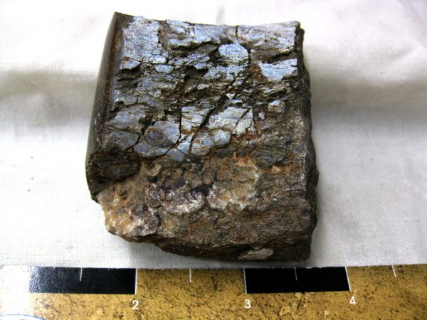 Polished Jurassic Dinosaur Bone #104 - Image 2