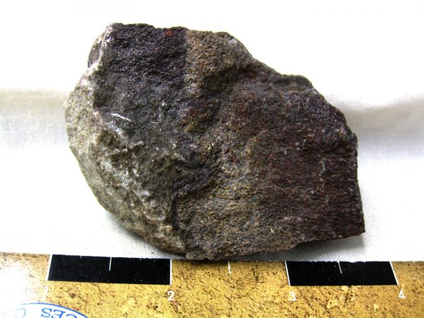 Polished Jurassic Dinosaur Bone #108 - Image 2