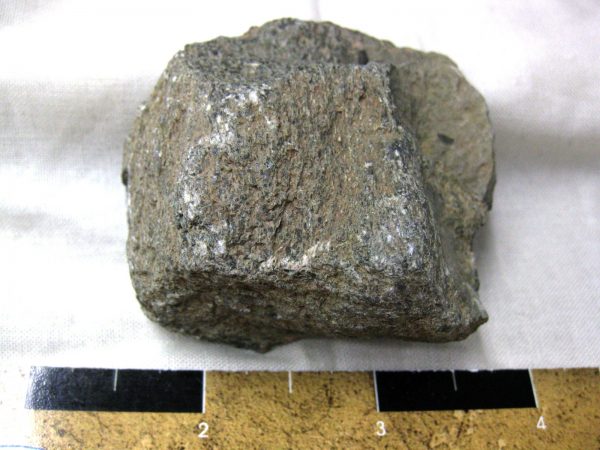 Polished Jurassic Dinosaur Bone #84 - Image 2