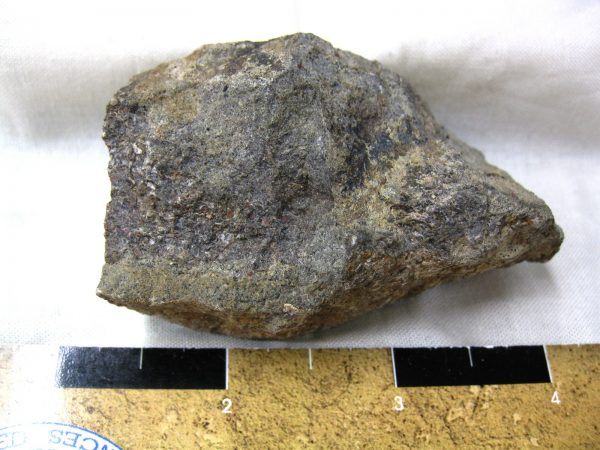 Polished Jurassic Dinosaur Bone #85 - Image 2