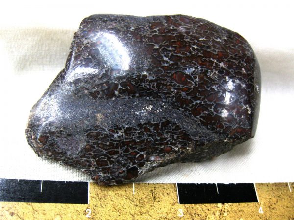 Polished Jurassic Dinosaur Bone #90