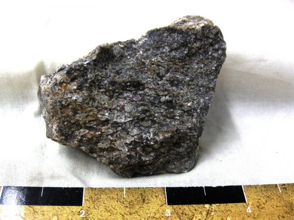 Polished Jurassic Dinosaur Bone #96 - Image 2