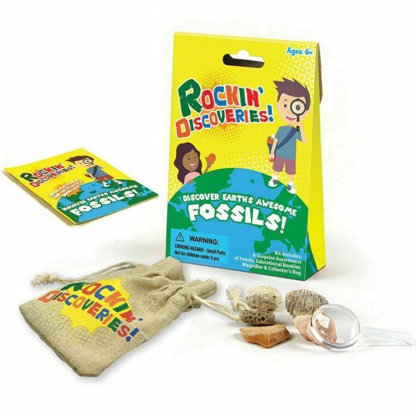 Rockin’ Discoveries! Fossils