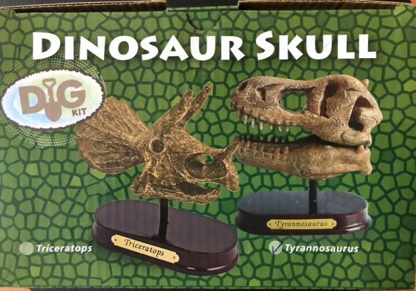 Triceratops Skull Excavation Kit