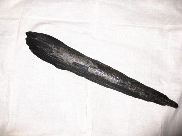 Miocene Age Swordfish Rostrum #1 - Image 2