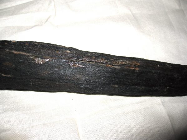 Miocene Age Swordfish Rostrum #1 - Image 7