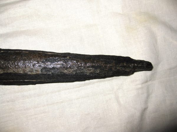 Miocene Age Swordfish Rostrum #1 - Image 3