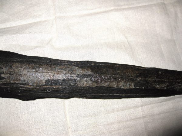 Miocene Age Swordfish Rostrum #1 - Image 5