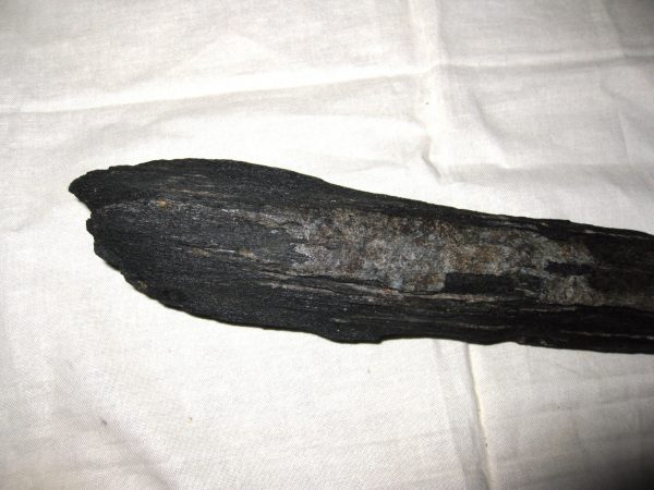 Miocene Age Swordfish Rostrum #1 - Image 4