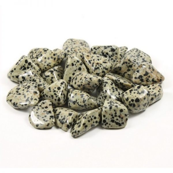 Metaphysical Stone: Dalmation Jasper