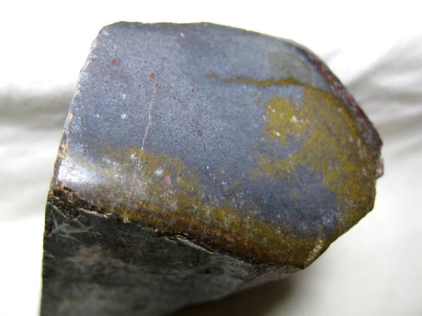 Polished Jurassic Dinosaur Bone #44 - Image 2